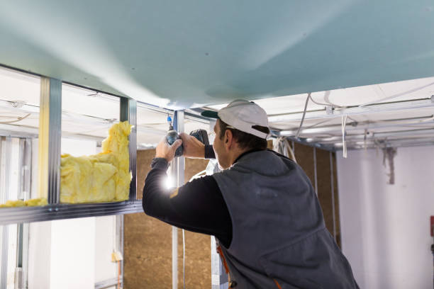 Best DIY Insulation Kits and Guidance in Stockbridge, MI