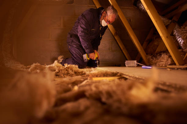 Best Cellulose Insulation in Stockbridge, MI